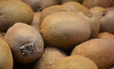 Many Kiwi Fruits