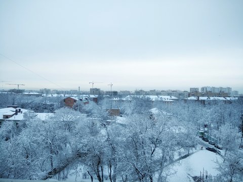 winter landscape