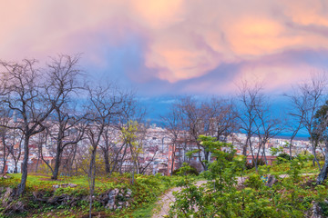 In search of a believer