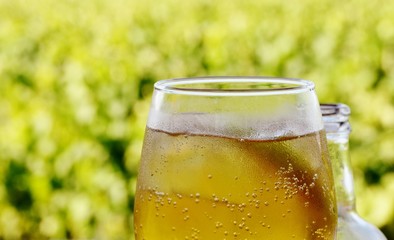 Close up of a glass with ice cold cider