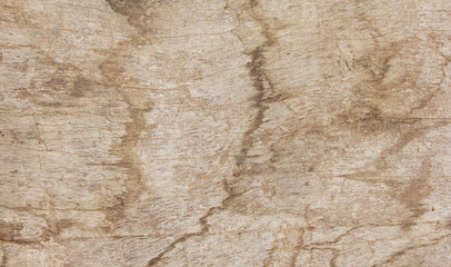 Background of nature Wood grain texture