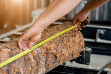 Modern sawmill. Industry sawing boards from logs