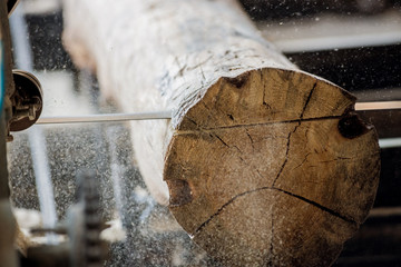 Modern sawmill. Industry sawing boards from logs - obrazy, fototapety, plakaty