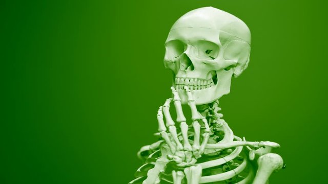 Green screen, Human Skeleton, skull illustration, body anatomy, bones, science, medical, cranium, orthopedic model
