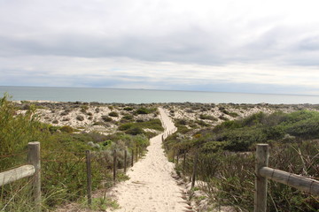 Fototapeta na wymiar path to the beach