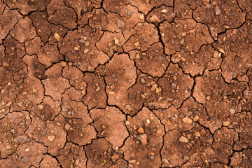 Texture of dried cracked clay. Macro background image of dried clay