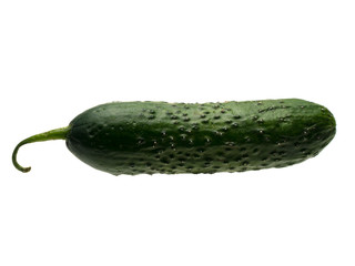 Graphic resources isolated object of cucumber on a white background