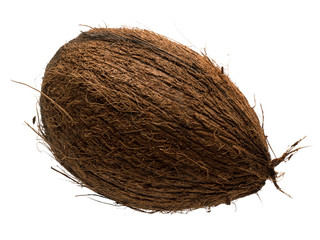 Graphic resources of an isolated coconut object on a white background