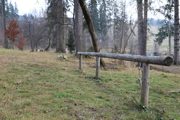 Wooden post -wide view