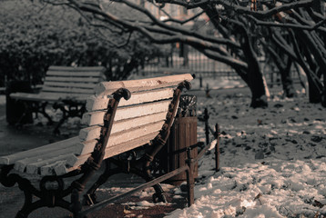 I didn't sit on this bench, but I made a photo :)