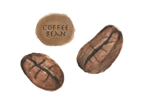 Watercolor hand drawn coffee beans. Isolated natural food illustration on white background.