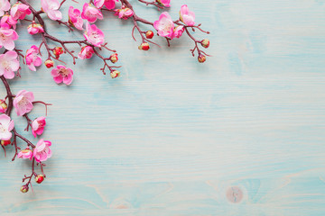 Pink flowers on blue wooden background - 314818250