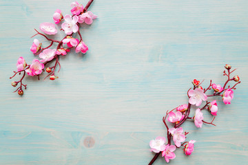 Pink cherry flowers on blue wooden background