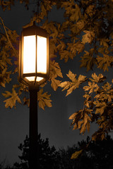Lamp in autumn