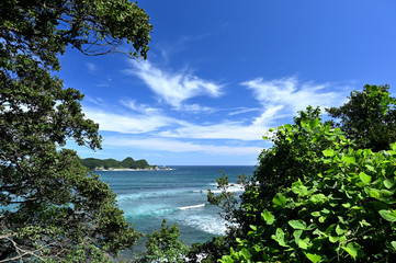 Fototapeta na wymiar 徳島のサーフィン　シークレットポイント