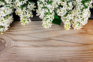 The beautiful lilac on a wooden surface.