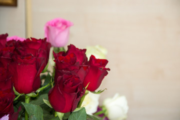 Beautiful roses, close-up of a flower in a shop, selective focus, blooming bouquet for 8 march holiday, copy space