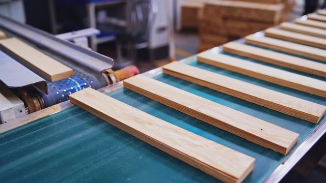 Wooden boards moves in a conveyor line. Manufacturing for parquet floor production. Modern industrial workshop for furniture production.