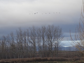 torrijo del campo teruel aragon españa