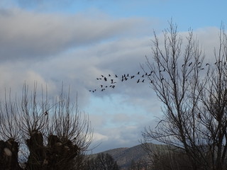 torrijo del campo teruel aragon espa&ntilde;a