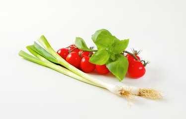 Fresh tomatoes, spring onions and basil