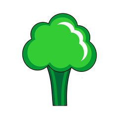 Single Fresh and healthy broccoli illustration icon. Simple and natural design of broccoli. Vegetables basic element graphic resources.