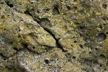 Old stone covered with lichen.