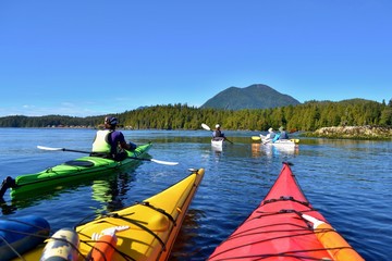 Group of friends on sea kayak in Pacific Ocean near Vancouver Island. Colorful kayaks, trees on the...