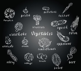 Vegetables, food, chalk isolated character on black background. Concept for print, cards, logo. menu 