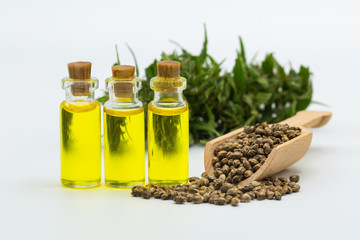  CBD cannabis oil. Hemp oil and  hemp seed isolated on white background. Healthy cannabis oil.