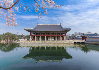 Gyeongbokgung Palace with cherry blossom in spring,Seoul,South Korea.