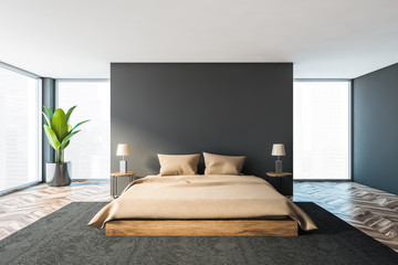 Panoramic gray master bedroom interior