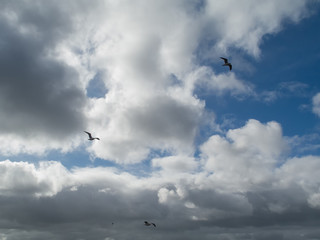 Bright sky with fluffy clouds, Abstract nature background.