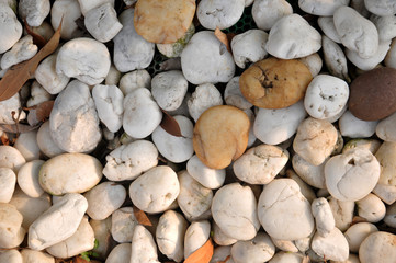 Pebbles on the beach.