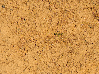 Dry desert cracked ground background