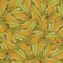 Vector Vegetable background. Hand drawn doodle Corn cobs Seamless pattern