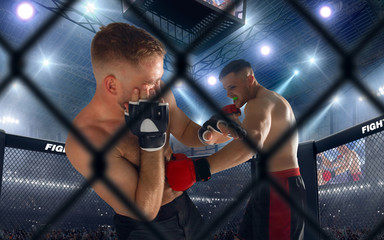 Naklejka premium MMA fighters on professional ring. Fighting Championship.