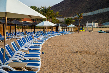sun loungers on a sandy beach in Fujairah