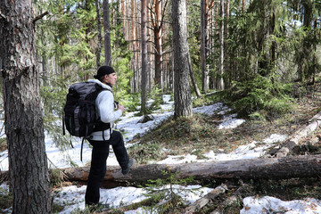 A man is a tourist in a pine forest with a backpack. A hiking trip through the forest. Pine reserve for tourist walks. A young man a hike in the spring.