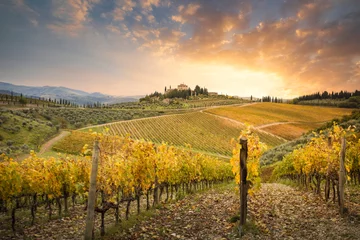 Deurstickers Zonsondergang in Gaiole in Chianti met Chianti-wijngaarden. Gaiole in Chianti, Toscane, Italië. © stefanotermanini