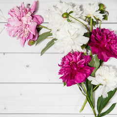 Beautiful pink and white peony flowers with petals on the white wooden square background, mock up top flat view with empty place for text