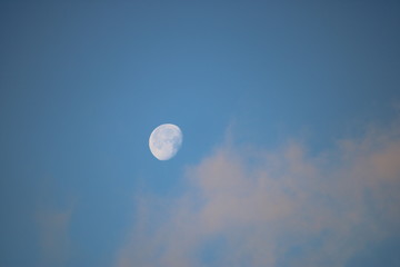 moon in the sky