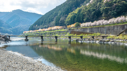 Fototapeta premium 四万十川に架かる沈下橋