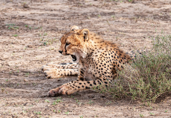 Tanzania 2017