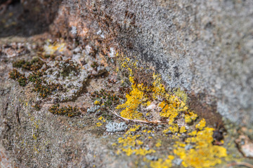Nature everywhere