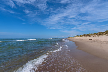The seascape. The beautiful sandy beach on the Baltic Sea on a summer sunny day.