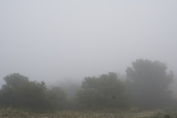 hijar teruel aragon españa