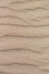 Fototapeta na wymiar Dune di sabbia sulla spiaggia