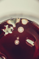 image of bacteria in a petri dish