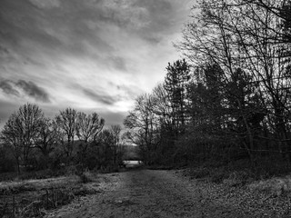 OLYMPUS DIGITAL CAMERA - BNW SKY